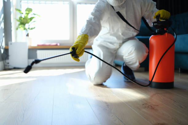 Reliable Sewage Cleanup contractor in Newton, TX by Trauma Clean Pros
